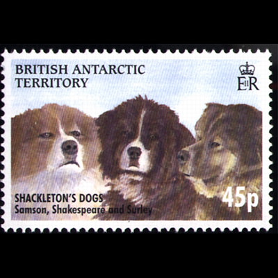 the stamp pole ABR 205