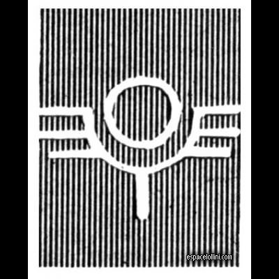 le timbre filigranne cercle ail