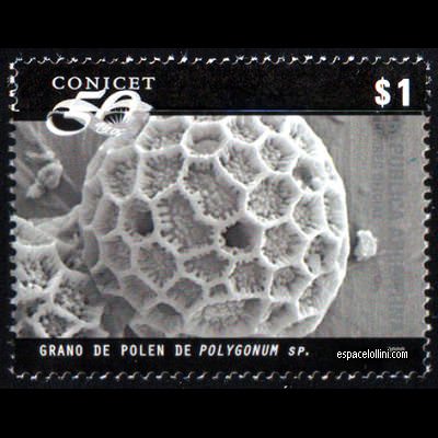 the stamp etoile ARG 13