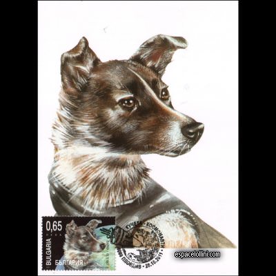 le timbre 10430 BUL 2 i