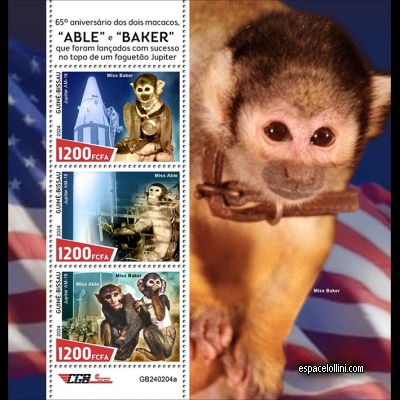 the stamp 222 GUB 1/3 C