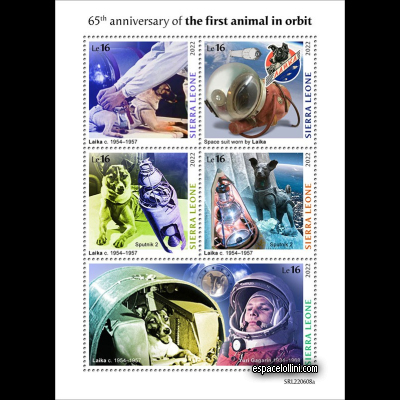 the stamp 10667 SIE 1/5 D